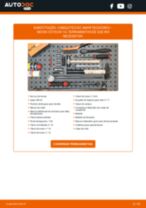 Manual online sobre a substituição de Amortecedor porta malas em Suzuki Alto GF