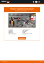 Priročnik PDF o vzdrževanju PASSAT zaboj /kombi (365) 1.4 TSi BlueMotion