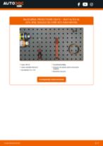 Când trebuie sa schimbi Kit proiectoare ceata SEAT ALTEA XL (5P5, 5P8): pdf manual