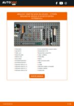 Menjava zadaj Blazilnik CITROËN BERLINGO Box (M_): vodič pdf