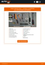 Bremžu suports: profesionāla rokasgrāmata tā nomaiņai tavam Citroen C2 Enterprise 1.4 HDi