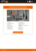 PDF manual pentru întreținere C4 CACTUS 1.2 PureTech 130
