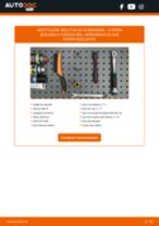 Manual de taller para BERLINGO Furgón (B9) 1.6 HDi 75 en línea