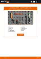 Den professionelle guide til udskiftning af Støddæmper på din Сitroën ZX N2 1.4