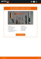 Bremžu Kluči: profesionāla rokasgrāmata tā nomaiņai tavam Сitroën ZX N2 1.4