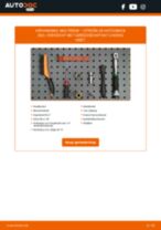 De professionele reparatiehandleiding voor Remblokken-vervanging in je Сitroën ZX N2 1.4
