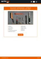 ZX Break (N2) 1.6 i workshop manual online