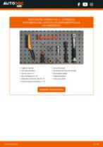 Tutorial de reparación y mantenimiento de CITROËN C2 Hatchback (JM) 2013