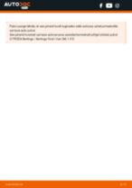 Samm-sammuline PDF-juhend CITROËN BERLINGO (MF) Piduritrummel asendamise kohta