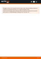 Sostituzione di Pastiglie dei freni su Citroen Berlingo MF 1.4 i (MFKFX, MFKFW, GJKFWB, GJKFWC, GFKFWC): la guida professionale