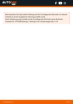 CITROËN BERLINGO (MF) Bremstrommel: Schrittweises Handbuch im PDF-Format zum Wechsel