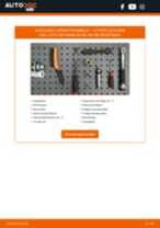 Werkstatthandbuch für ZX Break (N2) 1.6 i online