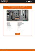 ZX (N2) 1.8 i workshop manual online