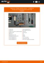Професионалното ръководство за смяна на Свързваща щанга на Сitroën ZX N2 1.4 i