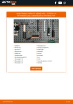 Den professionelle guide til udskiftning af Styrekugle på din Сitroën ZX N2 1.4 i