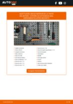 Manual de taller para ZX (N2) 1.8 i en línea