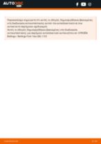 Αλλαγή Γρύλλος παραθύρου CITROËN BERLINGO: δωρεάν pdf
