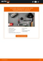Manual de taller para ACCORD VI Aerodeck (CF) 2.3 16 V (CF6) en línea