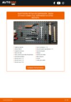 Manual online sobre el cambio de Inyector de combustible por su cuenta en Skoda Rapid Berlina