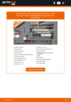 PDF Tutorial de reparación de recambios: E-CITIGO (NE1)