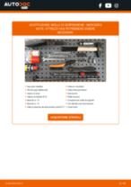 Cambio Kit cinghia servizi ROVER da soli - manuale online pdf