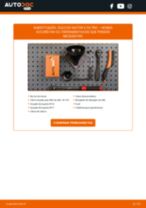 Mudar Kit de correias trapezoidais estriadas VW faça você mesmo - manual online pdf
