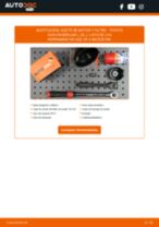 Manual de taller para Avalon Berlina (_X5_) 3.5 (GSX50) en línea