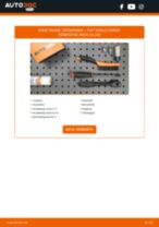 FIAT Soonrihm vahetamine DIY - online käsiraamatute pdf