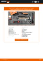 Reemplazar Generador FIAT DOBLO: pdf gratis