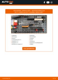 Vervanging uitvoeren: Veren 200 Kompressor (171.442) SLK R171