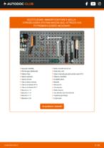 Manuali Citroen Xsara Station Wagon 1.5 D PDF: risoluzione dei problemi