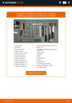 DELPHI D2253452 pentru ZX Break (N2) | PDF manualul de înlocuire
