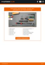Instalación Kit amortiguadores PEUGEOT 208 - tutorial paso a paso