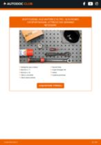 Come cambiare Kit cinghia servizi SEAT ALHAMBRA - manuale online