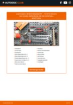 TOYOTA Spurstangengelenk wechseln - Online-Handbuch PDF