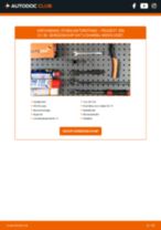 Hoe Koppelstang stabilisatorstang achter en vóór vervangen PEUGEOT 206 CC (2D) - handleiding online