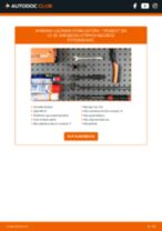 Jak wymienić Drążek wspornik stabilizator tylne i przednie PEUGEOT 206 CC (2D) - instrukcje online