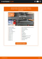 RIDEX 854S0056 per 206 CC (2D) | PDF istruzioni di sostituzione