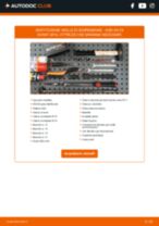 DACO Germany 800240 per A6 Avant (4F5, C6) | PDF istruzioni di sostituzione