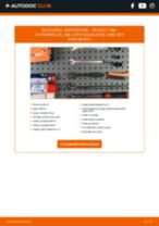 Manualul online pentru schimbarea Kit amortizoare la PEUGEOT 206+ (T3E)