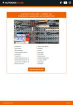 PEUGEOT 404 Convertible Kolbenringsatz: Online-Handbuch zum Selbstwechsel
