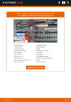 La guía profesional para realizar la sustitución de Amortiguadores en tu PEUGEOT 1007 (KM_) 1.6 HDi