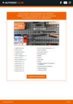 Manual online sobre el cambio de Amortiguador por su cuenta en PEUGEOT 206+ (T3E)