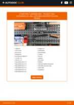 Bytte Støtdemper bak PEUGEOT 206+ (T3E): handleiding pdf