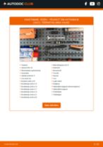 Samm-sammuline PDF-juhend PEUGEOT 206 Hatchback (2A/C) Vedrustus asendamise kohta