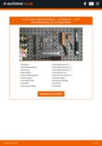 RENAULT SYMBOL / THALIA Nummernschildbeleuchtung wechseln LED und Halogen Anleitung pdf