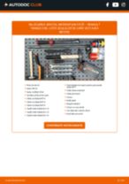 Schimbare Rola ghidare / conducere, curea distributie RENAULT TWINGO: pdf gratuit