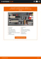 Manualul online pentru schimbarea Set accesorii, placute frana la RENAULT SPORT SPIDER