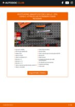 Cambio Radiatore intercooler NISSAN da soli - manuale online pdf