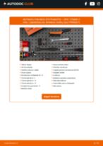 Instrukcijos PDF apie COMBO dėžės kėbulas / universalas 1.6 CNG 16V priežiūrą